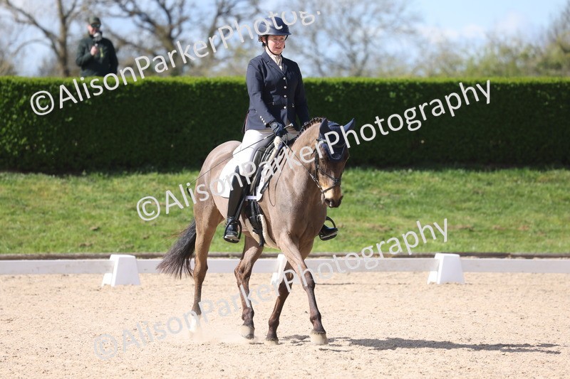 20260405-0473 - Class 5 - Elementary 5