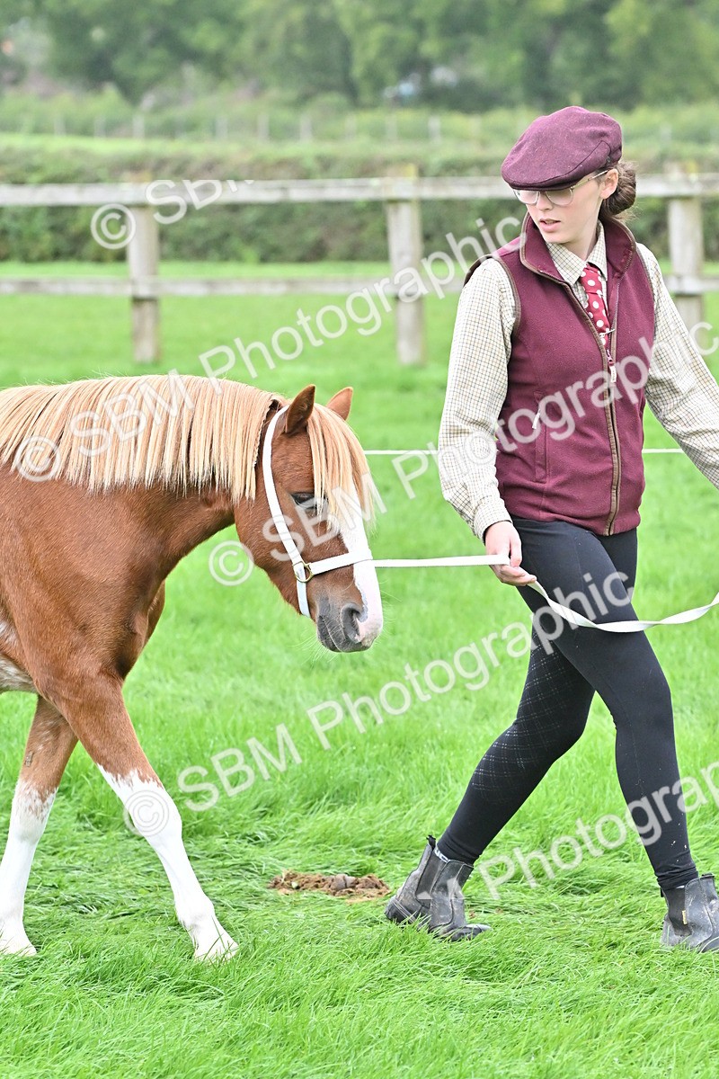 SBM_60897 - S48 - Mountain & Moorland In Hand Small Breeds