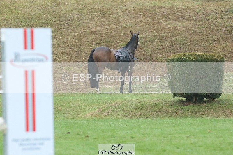 250830A-135722-06852 - Cls 16 Snr Newcomers and 1.10m Open