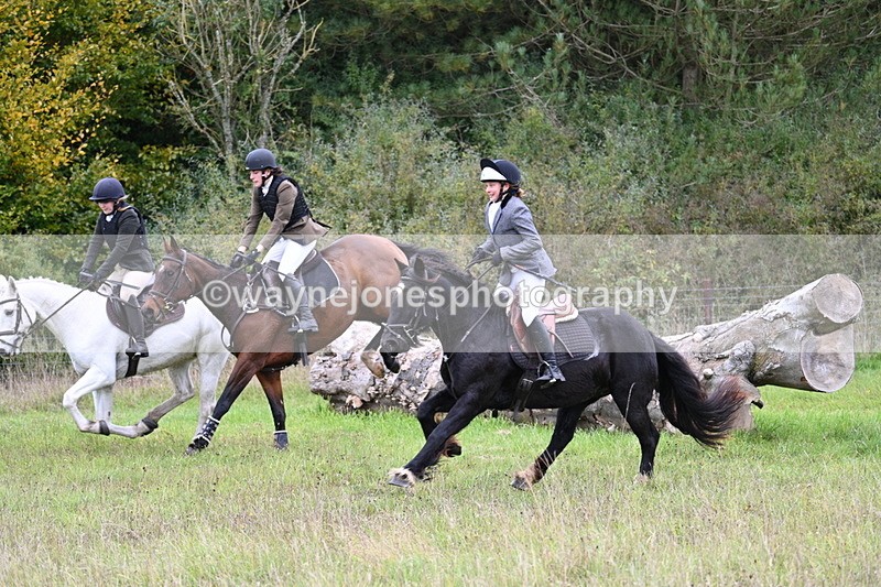 WJ7_3904 - Camera 1 Line 1