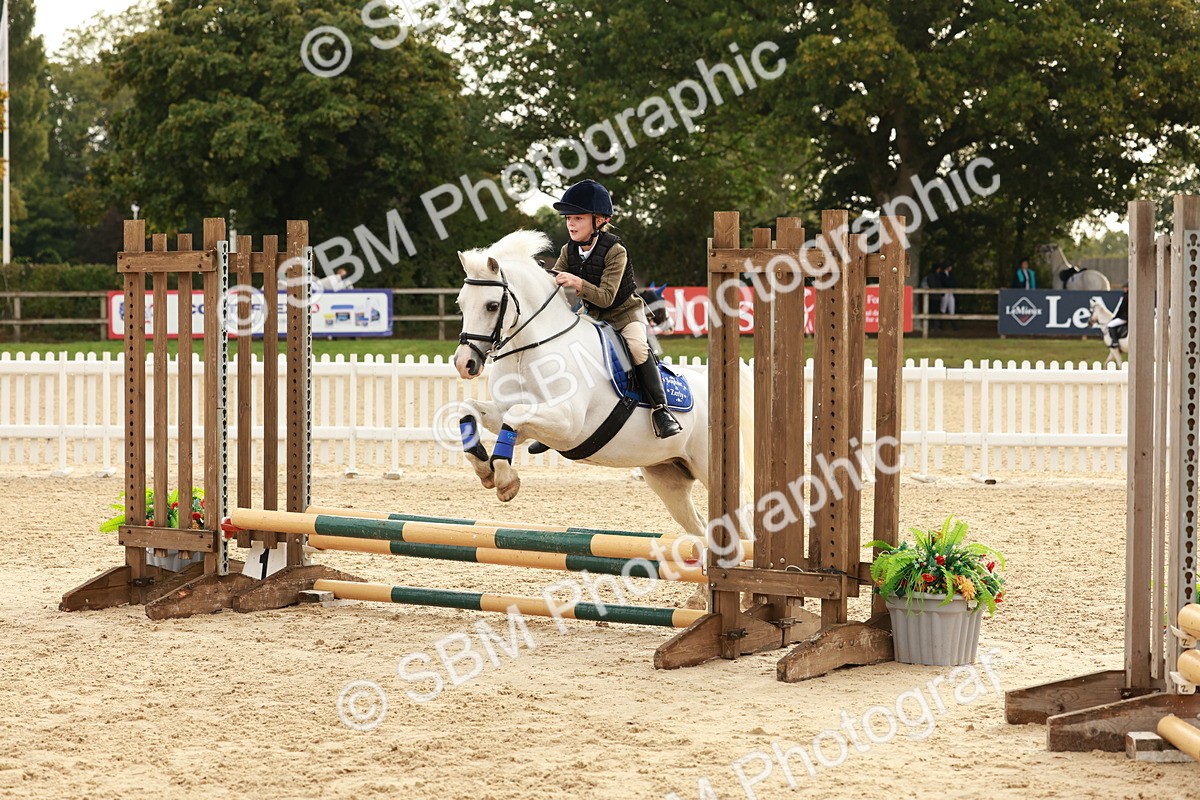 SBM_55778 - J11 - Junior Pony 50cm Championship