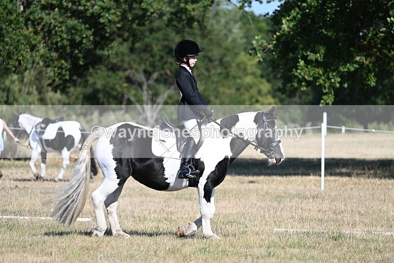 WJ7_9413 - Time 10:08 to 10:13