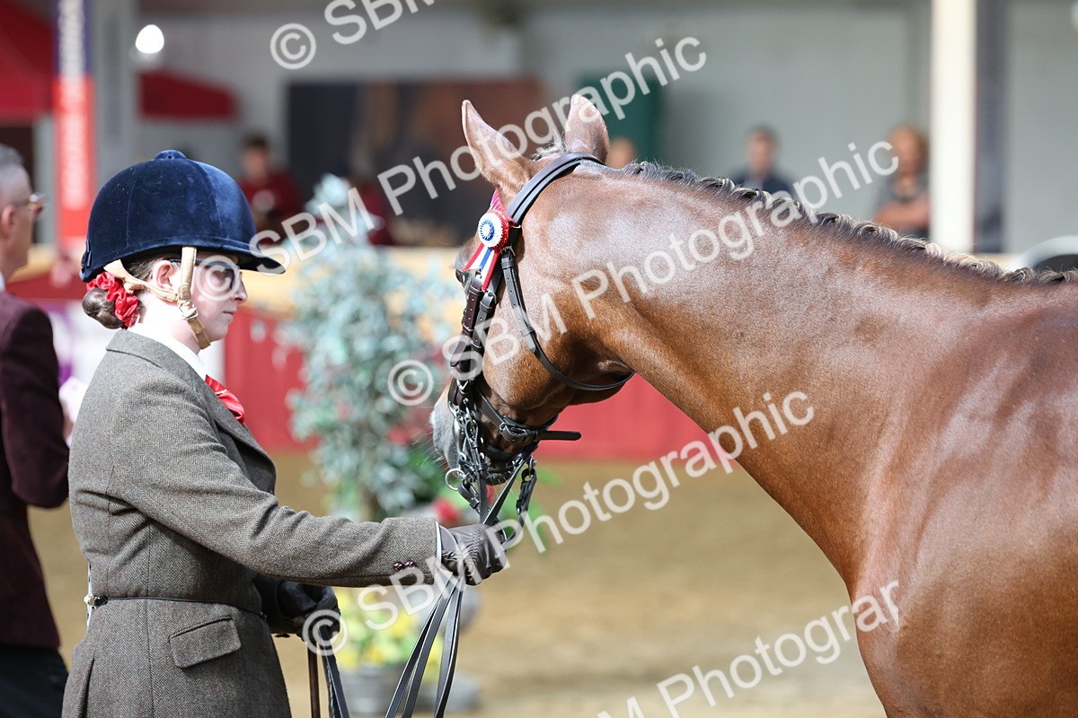 SBM_22534 - Class 902 - Supreme Final - IH Diamond