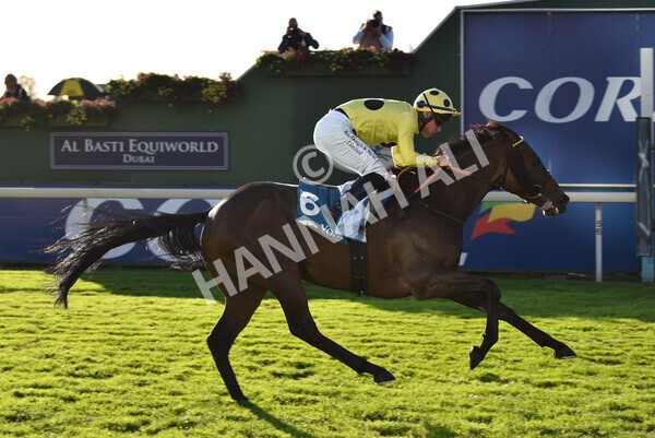 yr08102022r6-43 - Race 6 4.25pm The Watch Racing Online Free With Coral Handicap Stakes