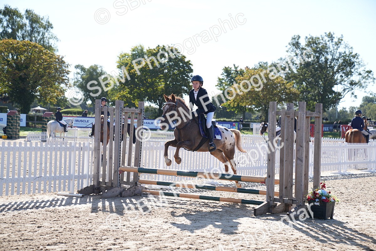 SBM_17587 - J58 - Clear Round 60cm