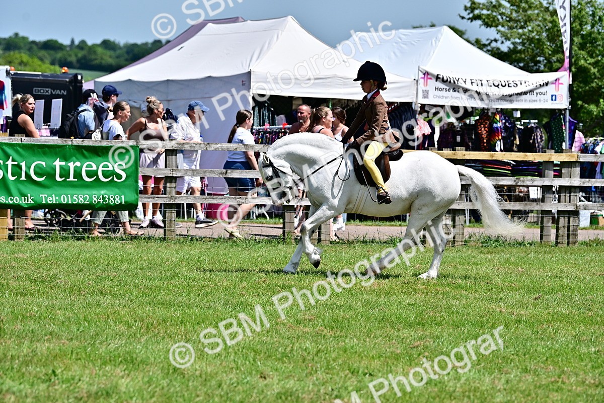 SBM_06066 - Class 59-60 - TSR M&M  Lear Rein and First Ridden Amateur of the year