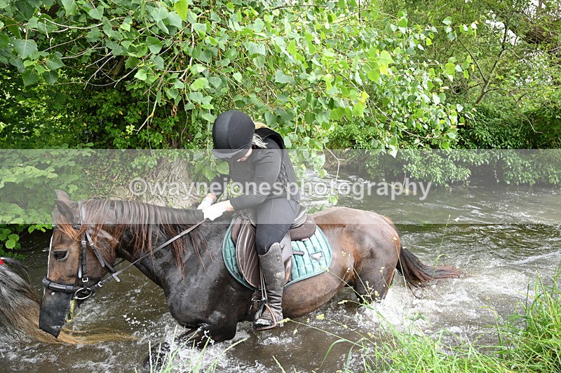 WJ7_2018 - Camera 2 Water Crossing