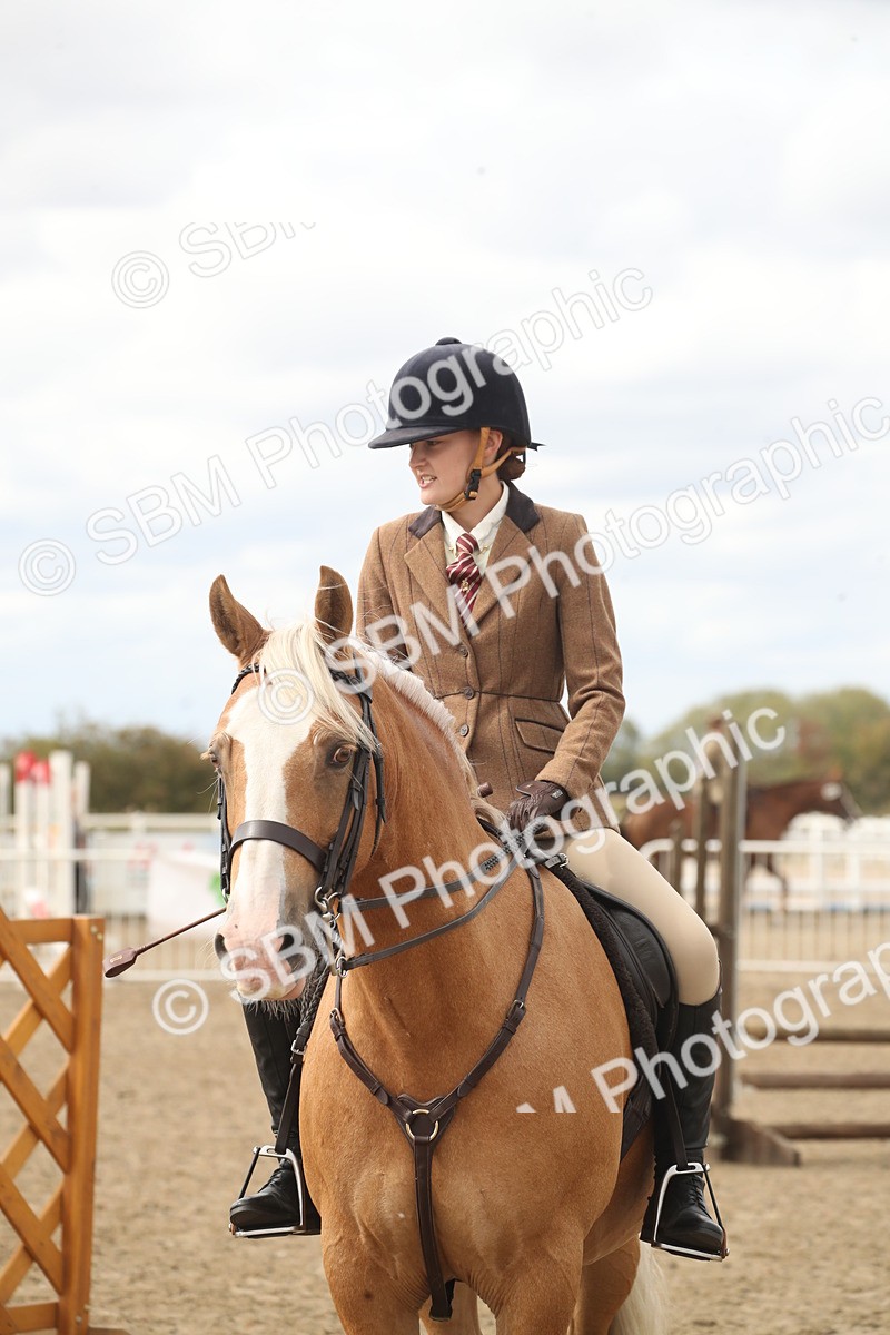 SBM_17665 - Class 508a - Working Veteran 70cm (15-19)