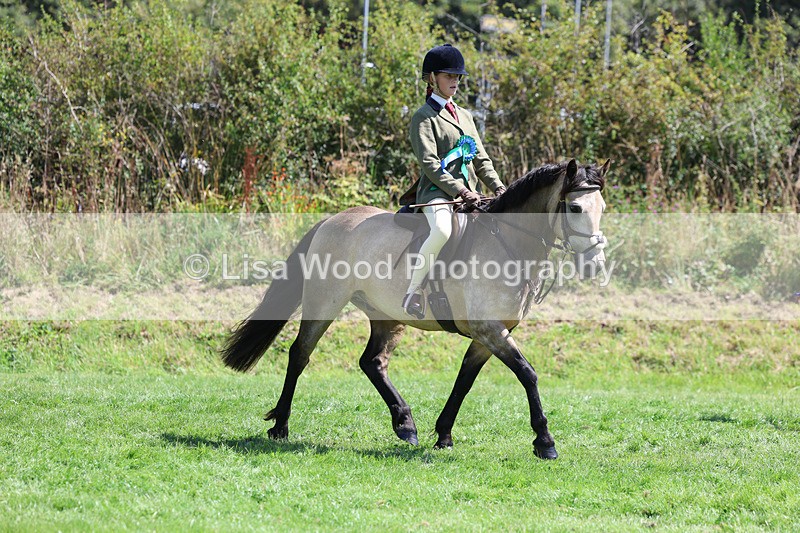 3E7A9183 - Working Hunter Championship