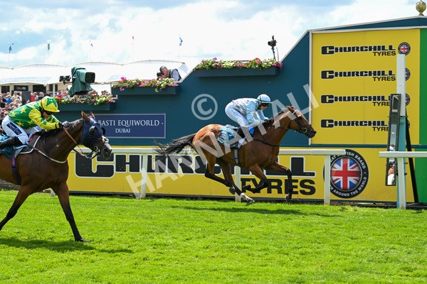 140625-Race 2-My Dream World-2332 - Race 2 2.25pm Queen Mother's Cup Handicap