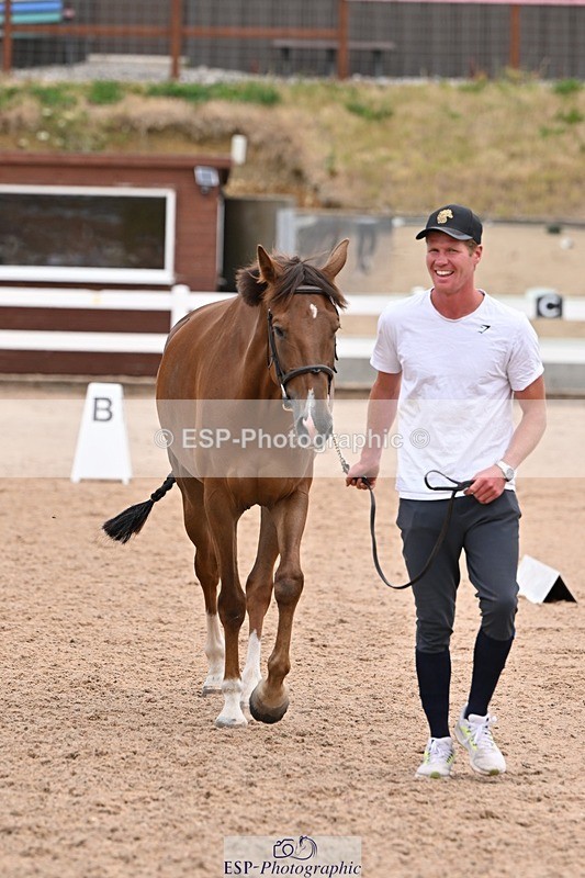 250716-143230-01184 - Trot Up 2.30 to 3.30