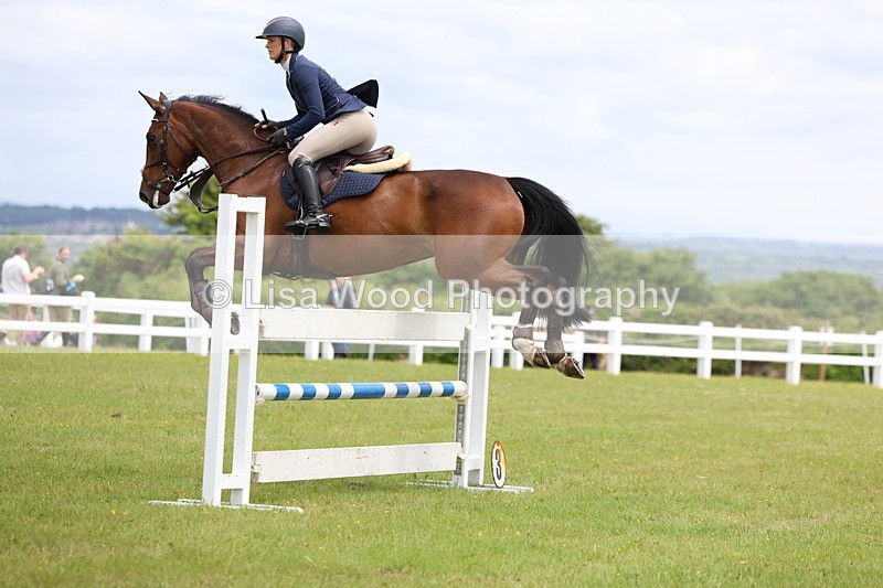 3E7A7122 - Class 12: Senior Foxhunter/1.20 open