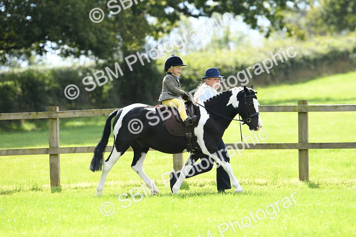 SBM_41152 - S19 - Lead Rein Show & Show Hunter Pony