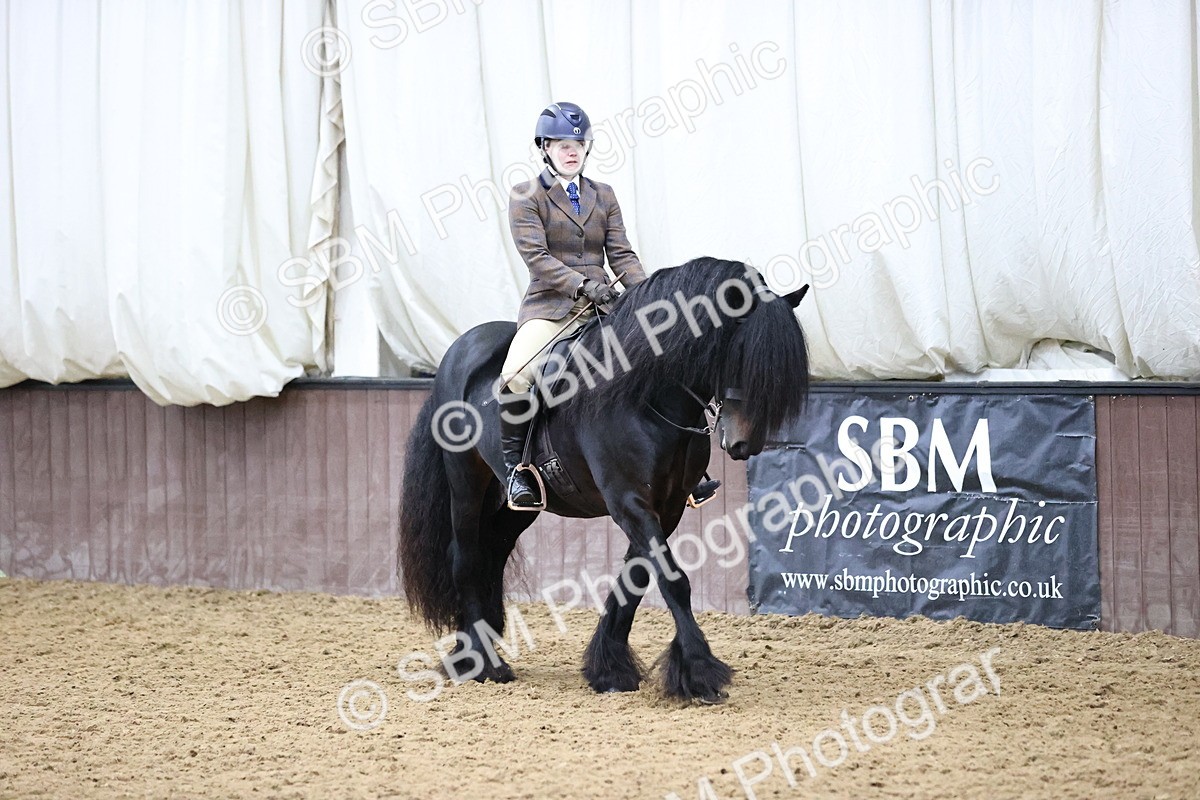 SBM_6534 - Class 43 - Ridden Native Breeds