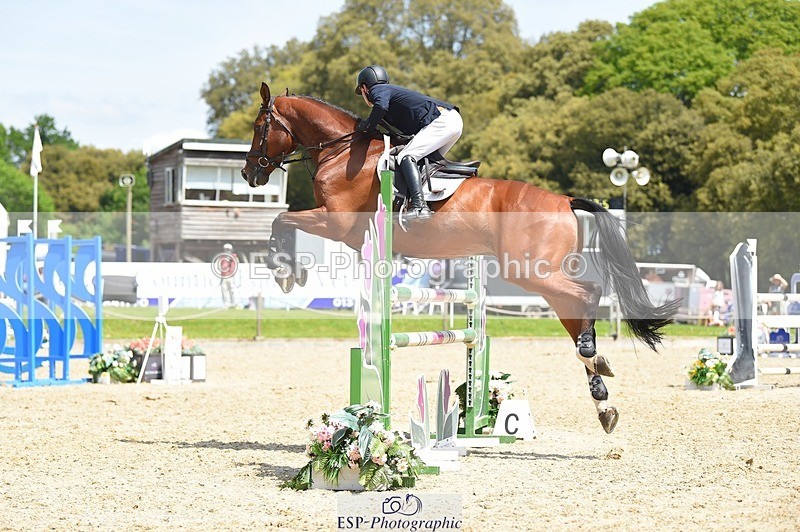 230528-121248-15587 - 318-JUST_HAVE_FAITH_TN-Alfie_Marshall-SUNTrotUp+SJ