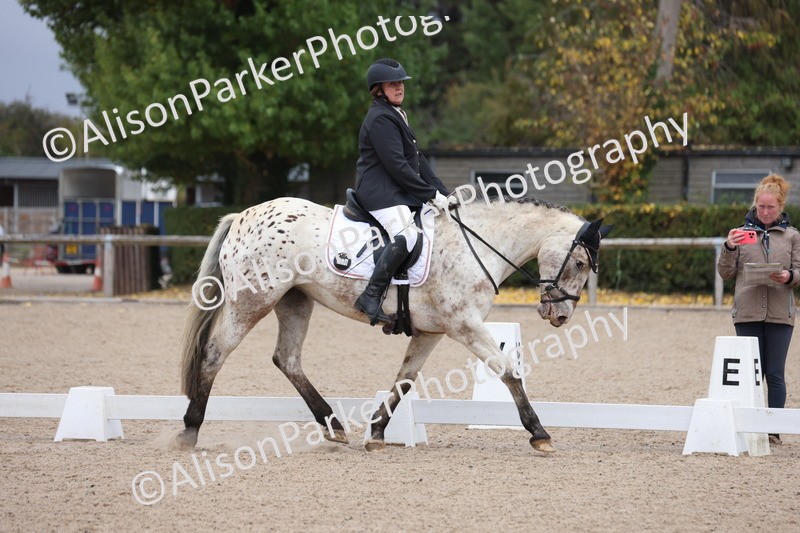 20250820-0112 - Class 7 - My Quest Intro 3