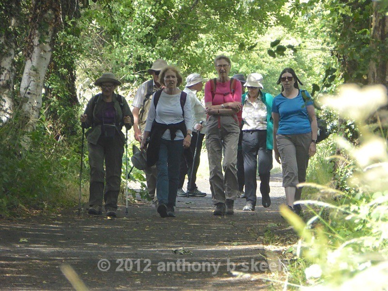 052 Approaching  Cloughton in wonderful sunshine - York Minster Walkers Collection 2025