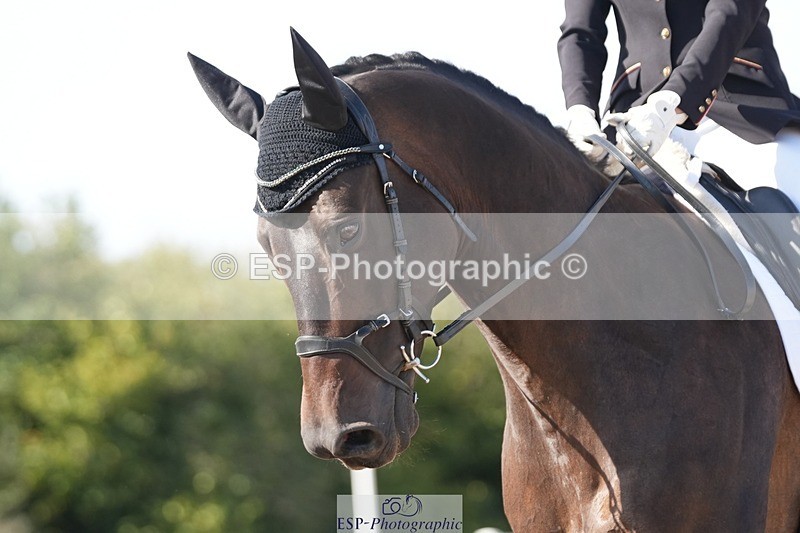 250906-155929-04925 - 100-Adele.RonchettiFamily.Affair