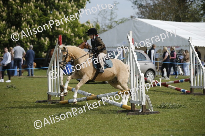 20260426-1209 - Class 2 - Mini Jumping