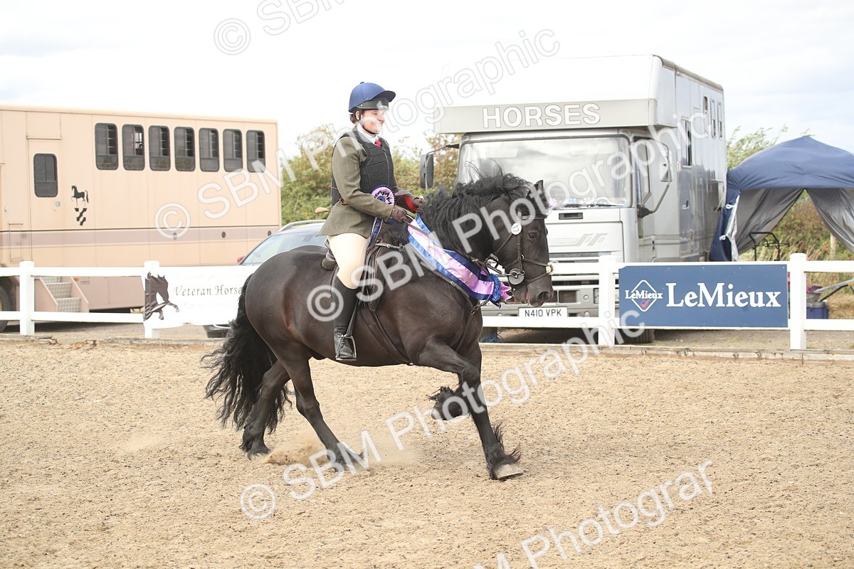 SBM_17796 - Class 508a - Working Veteran 70cm (15-19)