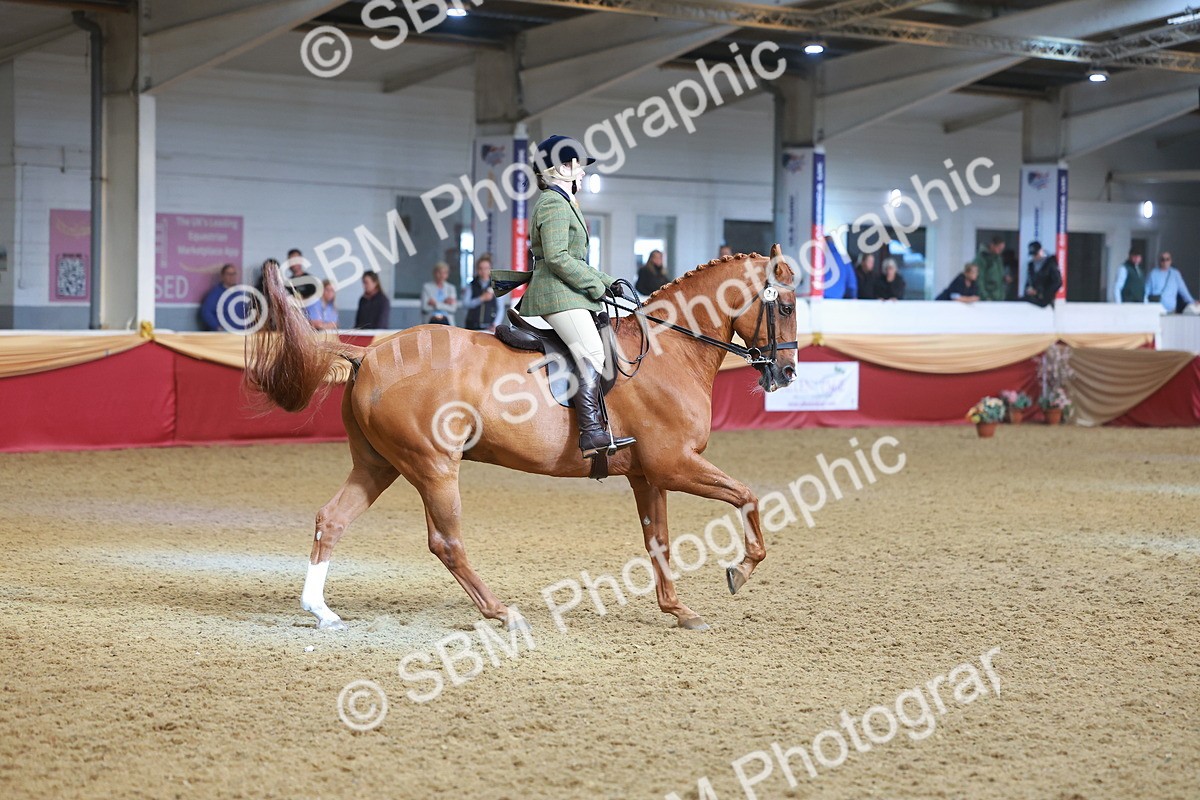SBM_09702 - Class 102 - HOYS Veteran Qualifier - Ridden Veteran