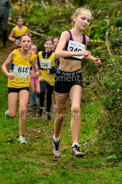 WestRLY25-911419 - Young Female Set One