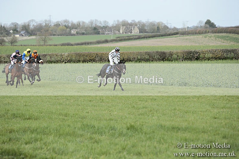 PtP 230319 276 - VWH Hunt Siddington Point-to-Point Racing 23/03/19