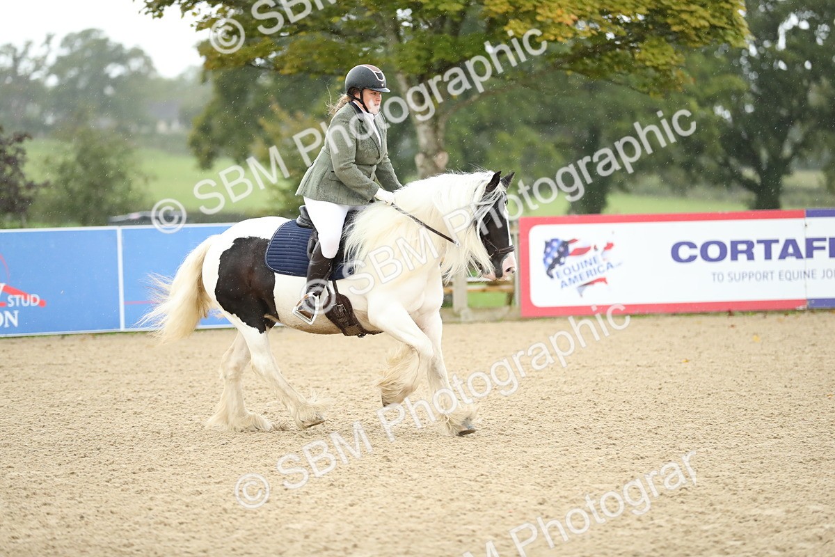 SBM_00940 - J27 - Senior Horse & Pony 50cm Championships