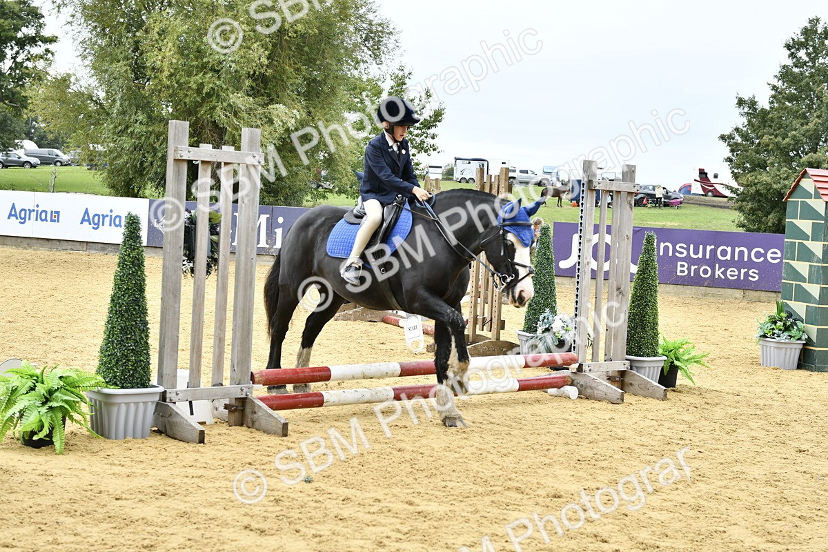 SBM_65431 - J2a mini Tour Junior Pony 30cm Championship