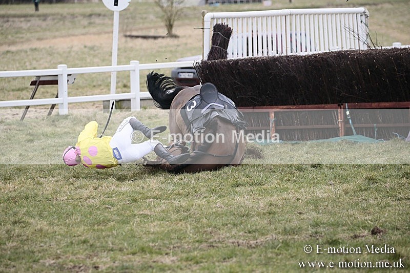 PtP 180218 282 - Combined Services Point-to-Point Larkhill 18/02/18