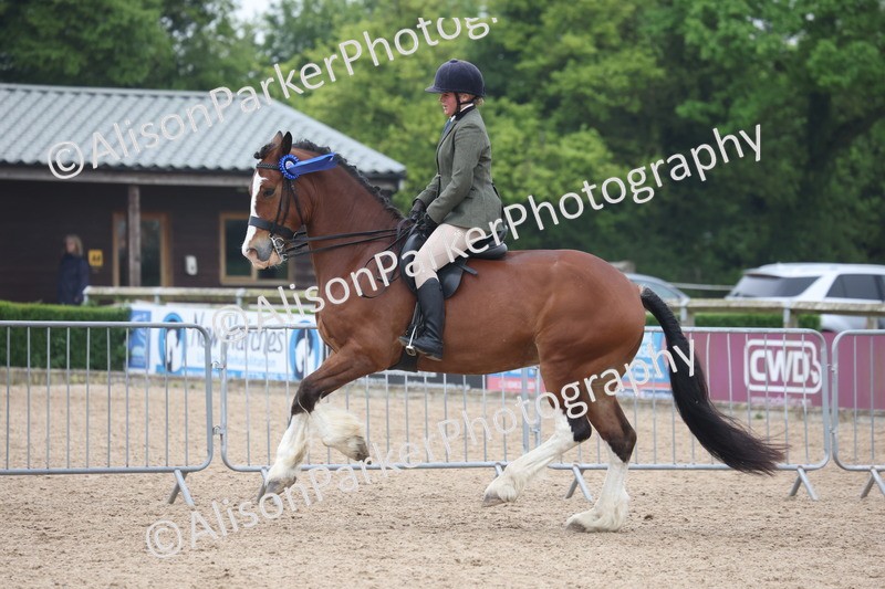 20260504-1186 - Class 14 - Cob and Hunter