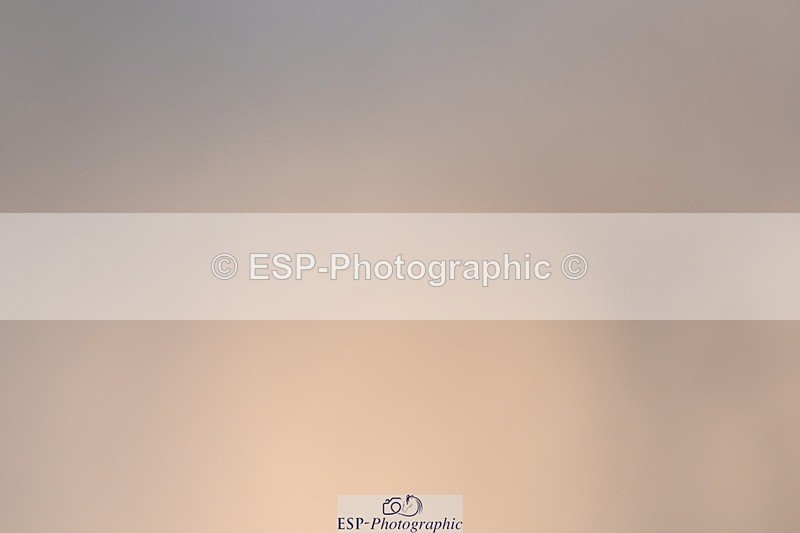 250125-102633-00185 - Dressage - CT Class 4 BE95 (80cm)