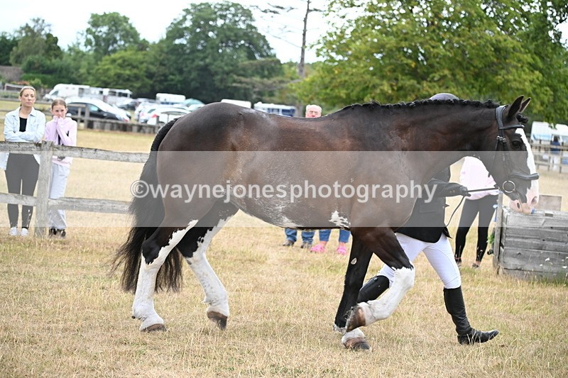 WJ6_8085 - Class 10 Coloured in Hand