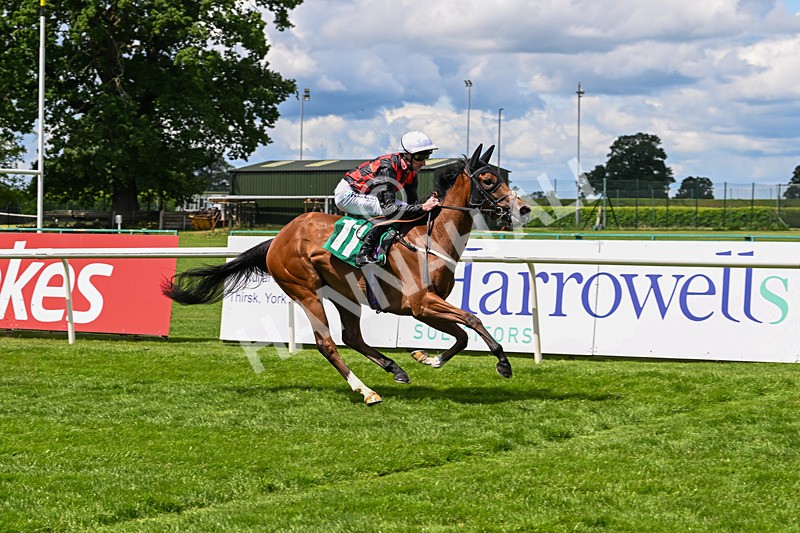 060625-Race 1-In A Hurry-4193 - Race 1