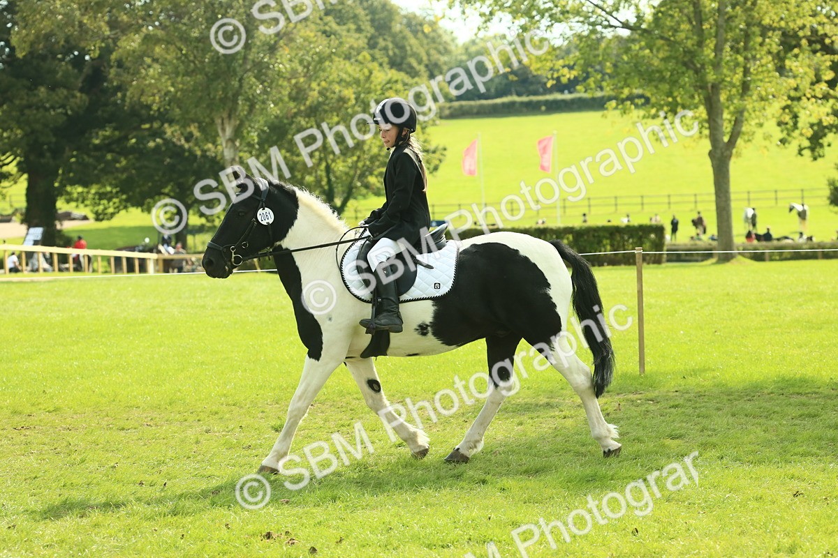 SBM_68855 - S58 - Mini Show Cob Ridden