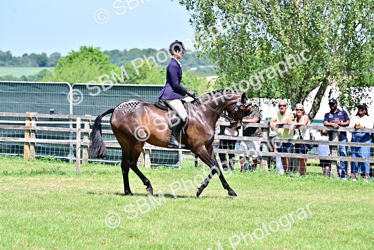 SBM_17402 - Class 95-97 - BSPS LHS Performance Ponies
