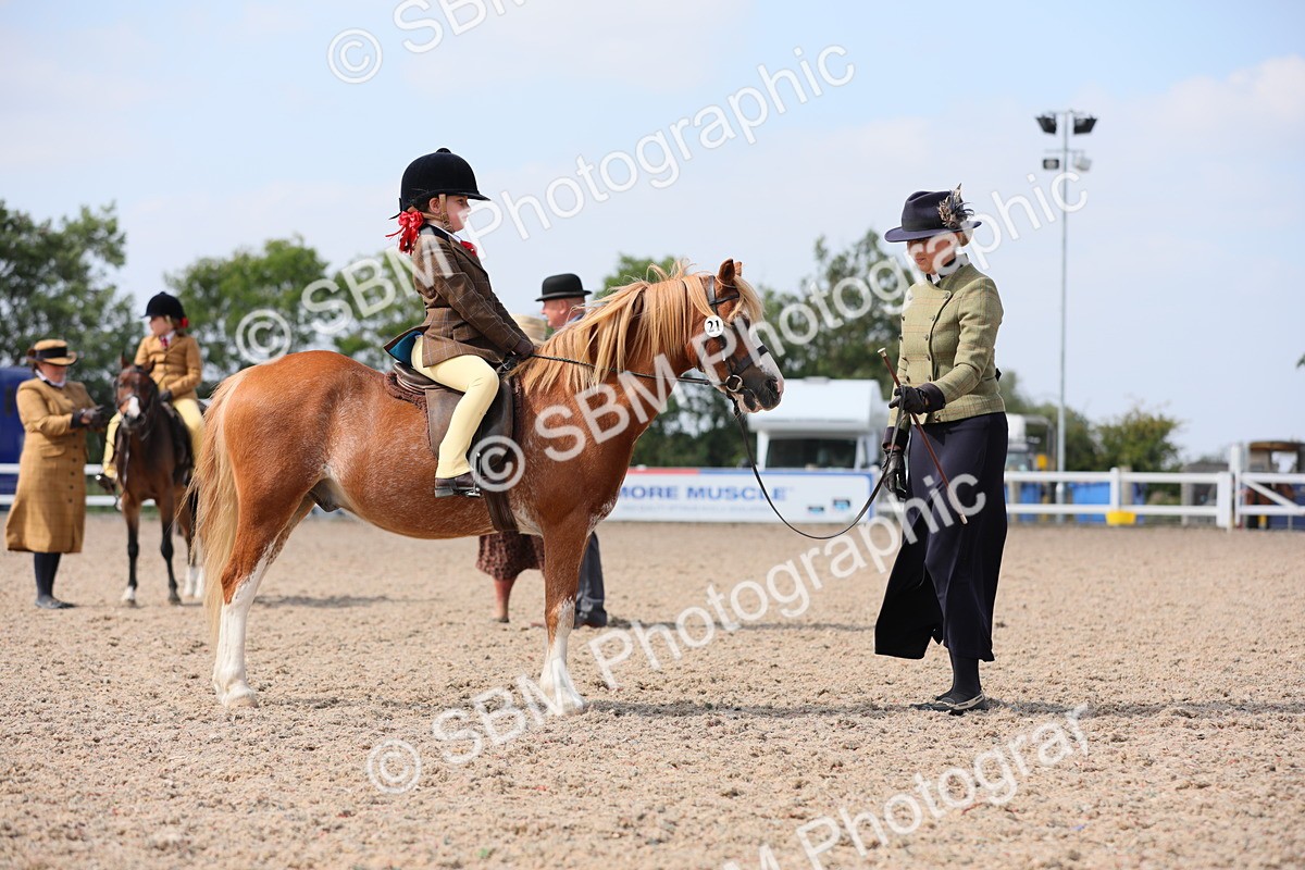 SBM_14064 - Class 309 Lead Rein Pony