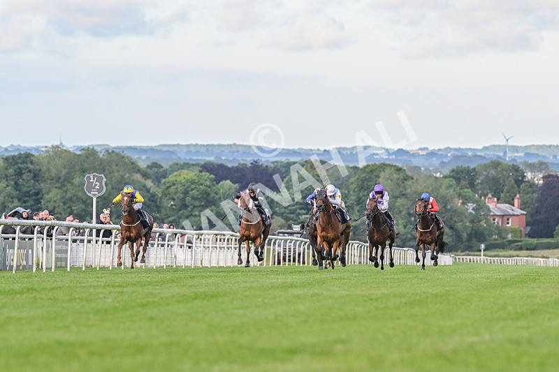 180624-Race 4-Distinction-8630 - Race 4