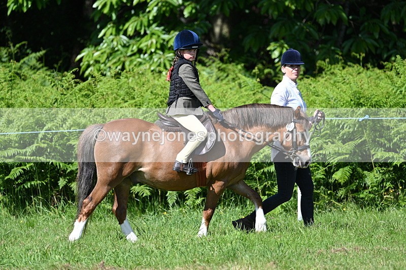 WJ7_0759 - Class 8 First Rally Pony