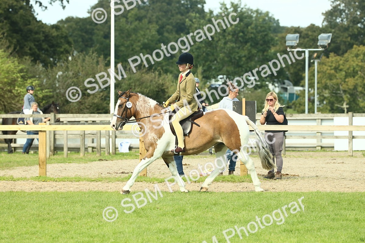 SBM_67656 - S56 - Coloured Pony Ridden