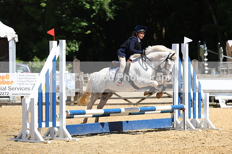 3E7A2332 - Class 4/5: 60cm Open Teams and Individuals