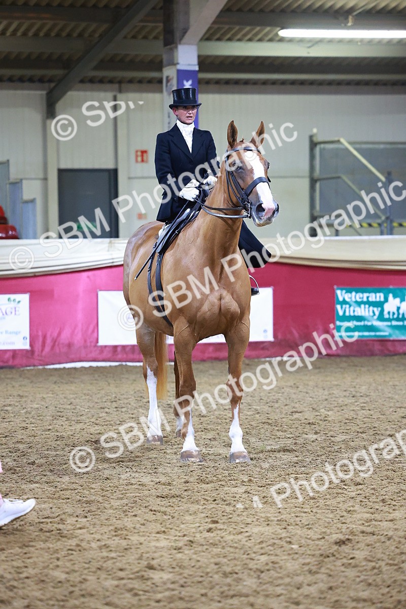 SBM_14728 - Class J - Foreign Breeds Champ