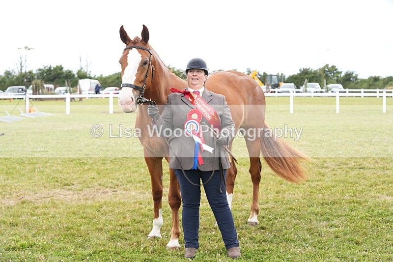 DSC06443 - Hunter/Riding Horse/Hack In Hand Championship