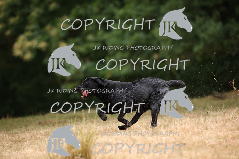 2R6A3498 - ​TEAM A: BORDER COUNTIES & COTSWOLDS 1-2-3