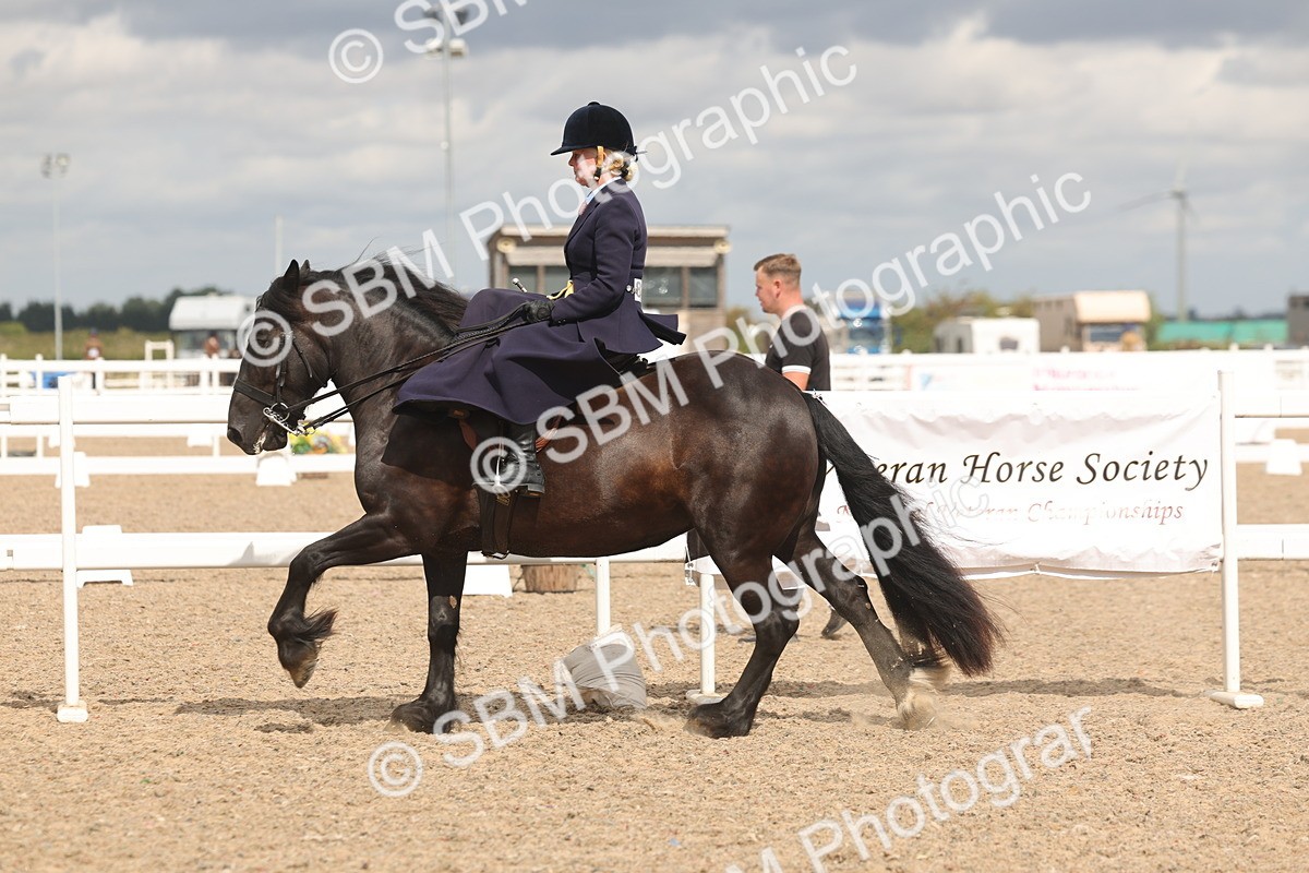 SBM_06359 - Class 22 - SSA - Equitation