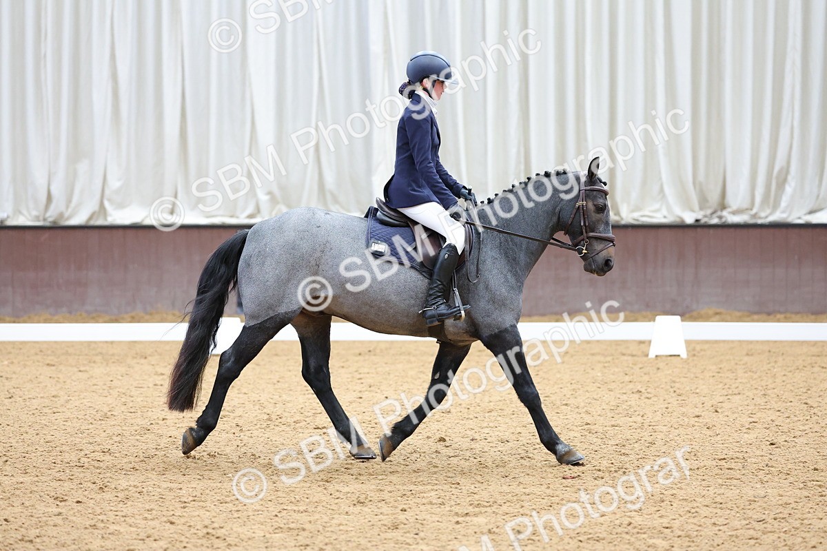 SBM_002580 - Novice
