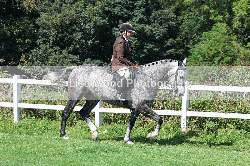 3E7A8334 - Class 4: Novice working Hunter