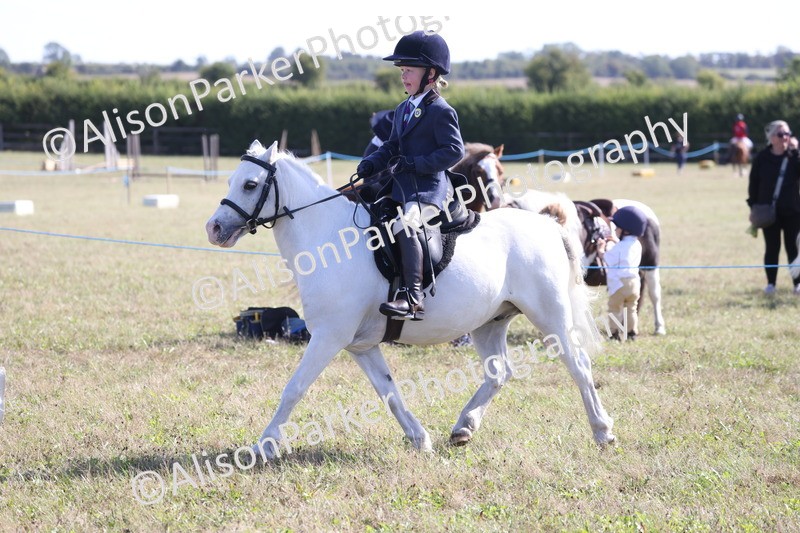 20260906-2213 - Class 16 - Family Pony