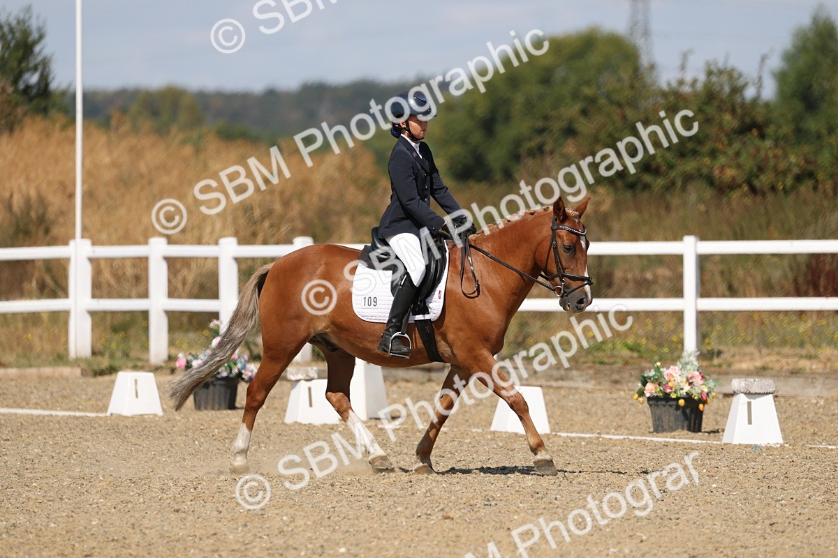 SBM_013739 - Class 1 - P5 Bronze 10.38.12.02