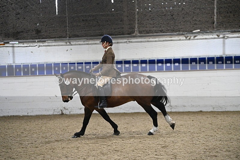 WJ7_4014 - Class 17 Ridden Cob